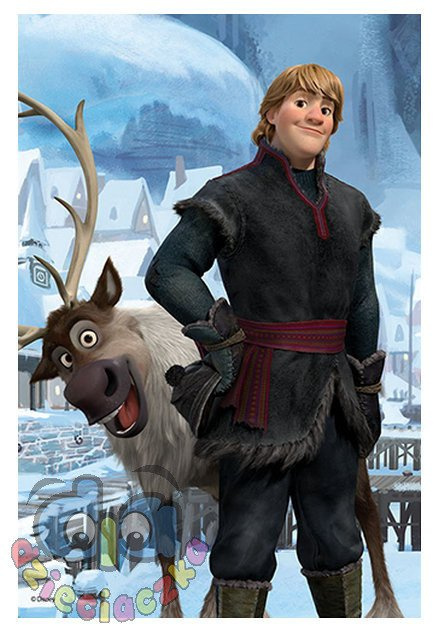 TREFL mini puzzle 54 el. FROZEN KRAINA LODU