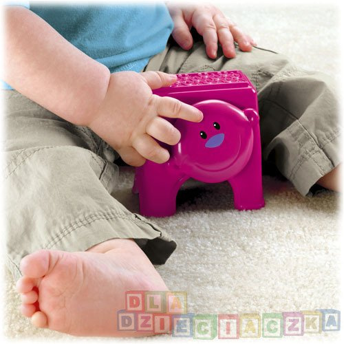 Klocki Zwierzaczki FISHER PRICE W3114